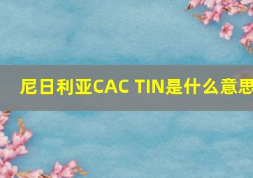 尼日利亚CAC TIN是什么意思